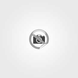 Webhook